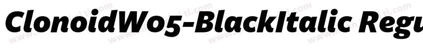 ClonoidW05-BlackItalic Regular字体转换